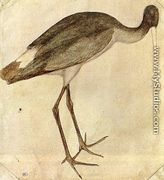 Stork 1430s - Antonio Pisano (Pisanello)