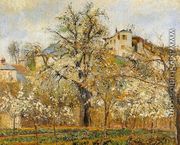 Kitchen Garden with Trees in Flower, Pontoise  1877 - Camille Pissarro