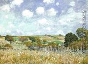 Meadow 1875 - Alfred Sisley
