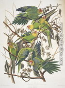 Carolina Parakeet, from 'Birds of America', 1829 - John James Audubon