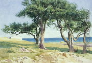 Old Olive Trees, Bordighera - Edwin Bale