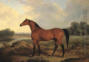 A bay stallion in a river landscape 1827 - James Barenger