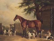 A Chestnut hunter with the Badminton Hounds - William Barraud