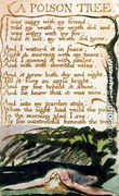 A Poison Tree, from Songs of Experience - William Blake