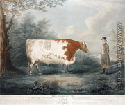 The Durham Ox, 1802 - John Boultbee