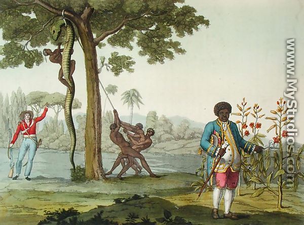 Portrait of Graman Quacy with his discovery Quaciae and the killing of a snake in Surinam, Guiana, illustration from 