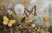 Butterflies, illustration from an Hungarian natural history book, c.1900 - Alfred Brehm