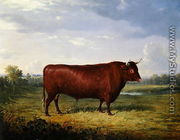 Portrait of a Brown Bull, 1834 - Henry Calvert