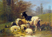 Sheep and Goats Resting on a Riverbank - Henri De Beul