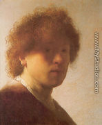 Self-Portrait 2 - Rembrandt Van Rijn