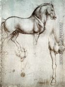 Study of horses - Leonardo Da Vinci