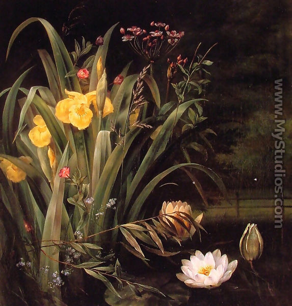 A Lily Pond - Hermania Sigvardine Neergaard
