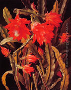 Cactus with Scarlet Blossoms - Christian Juel Mollback