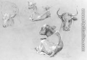 Studies of Cows and Calves - James McDougal Hart