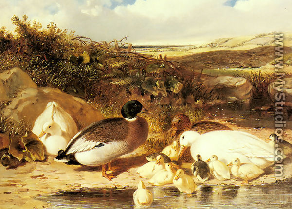 Mallard Ducks and Ducklings on a River Bank - John Frederick Herring Snr