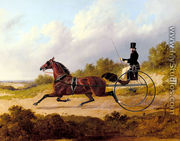 The Famous Trotter Confidence Drawing A Gig - John Frederick Herring Snr