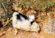 John Ruskin's dead chick - William Holman Hunt