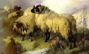 Highland Scene with Sheep and Grouse - George W. Horlor