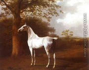 White Horse in Pasture - Jacques Laurent Agasse