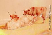 Cattle Resting (1 of 2) - William Huggins