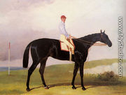 Ellinton, a dark Bay Racehorse, with Tom Aldcroft up - Harry Hall