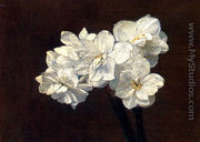 Bouquet de Narcisses (Bouquet of Narcissuses) - Victoria Dubourg Fantin-Latour