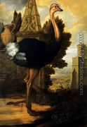 An Ostrich - Francis Barlow
