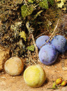 Still Life With Greengages And Plums On A Mossy Bank - William Henry Hunt