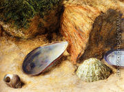 Still Life With Sea Shells On A Mossy Bank - William Henry Hunt