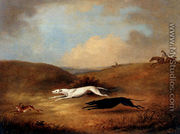 Robert Poole's Greyhounds, Pigeon And Polecat - Dean Wolstenholme, Snr.