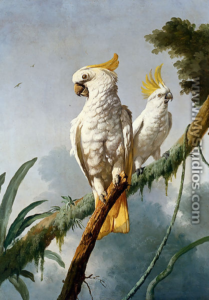 A Pair Of Sulphur-Crested Cocktoos - Jacques Barraband