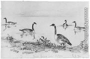 Wild Geese (from McGuire Scrapbook) - Shepard Alonzo Mount