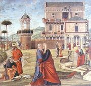 The Visitation (oil on panel) - Vittore Carpaccio
