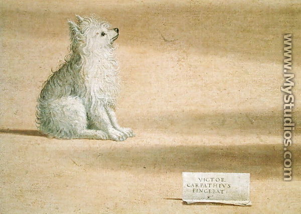 Vision of St. Augustine (detail of the dog) 1502-08 - Vittore Carpaccio