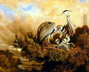Heron Feeding Their Young In A Pine Tree, 1889 - Samuel John Carter