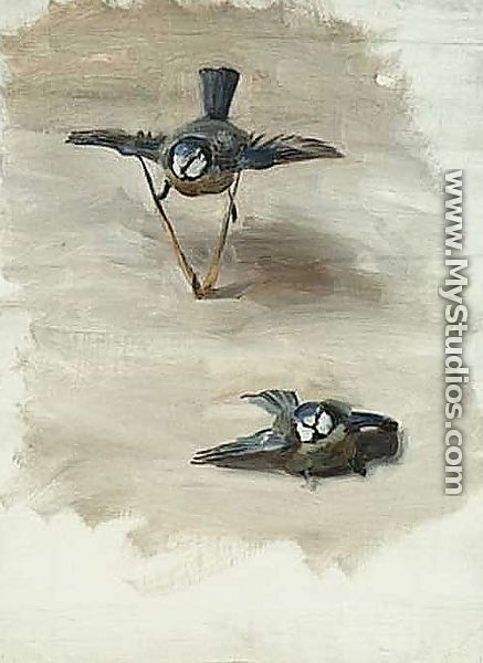 Study of a Dead Bird - John Singer Sargent