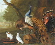 An Assembly of Birds in a Classical Park, 1719 - Pieter Casteels