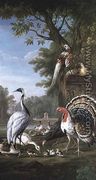Group of Exotic Birds - Pieter Casteels