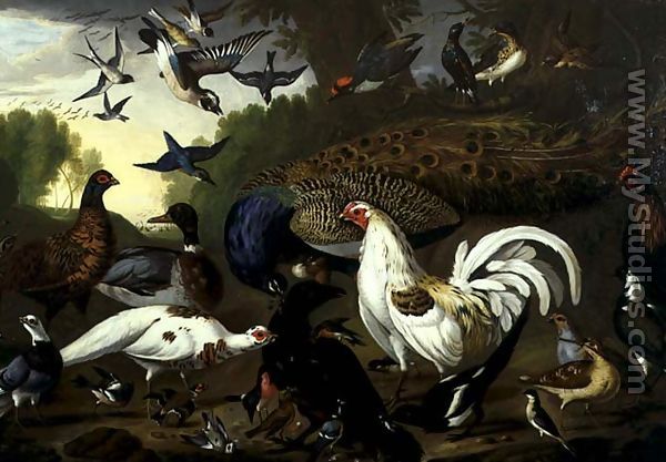 The Fable of the Raven with a Peacock, Cockerel, Woodpecker, Jay, Woodcock, and Magpie - Pieter Casteels