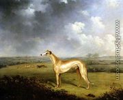 Reverend Henry Bate Dudley's Greyhound 'The Miller', 1799 - Henry Bernard Chalon