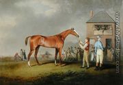 Portrait of 'Quiz', the property of Lord Rous, after his last race at Newmarket - Henry Bernard Chalon