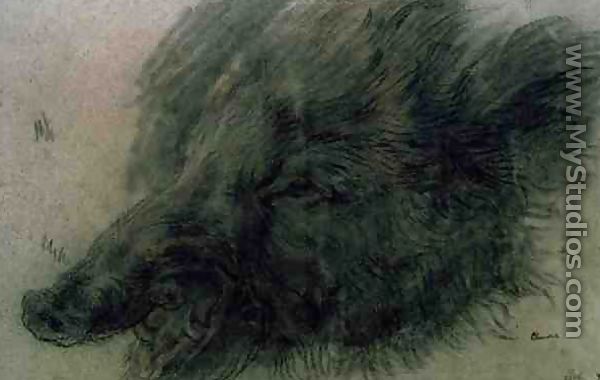 Head of a Wild Boar - Jean-Baptiste-Simeon Chardin