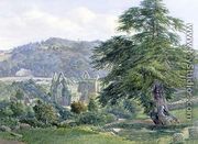 Tintern Abbey with the Wye Beyond - John Chase