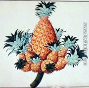 Nanas or Pineapple, from 'Drawings of Plants from Malacca', c.1805-18 - Chinese School
