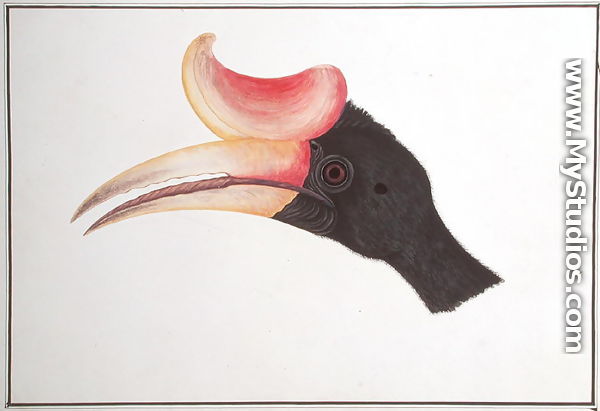 Head of a Bird, from 