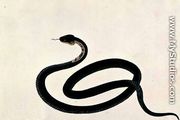 Snake, from 'Drawings of Animals, Insects and Reptiles from Malacca', c.1805-18 - Chinese School