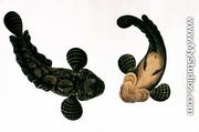 Lepoo, from 'Drawings of Animals, Insects and Reptiles from Malacca', c.1805-18 - Chinese School