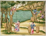 Collecting mulberries, from a book on the silk industry - Chinese School
