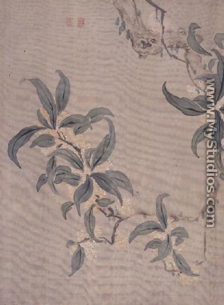 Blossom, from an album of twelve studies of flowers, birds and fish - Tsubaki Chinzan