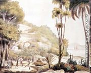 View of the coast of Brazil opposite the island of Santa Catarina, c.1825 - (After) Choris, Ludwig (Louis)